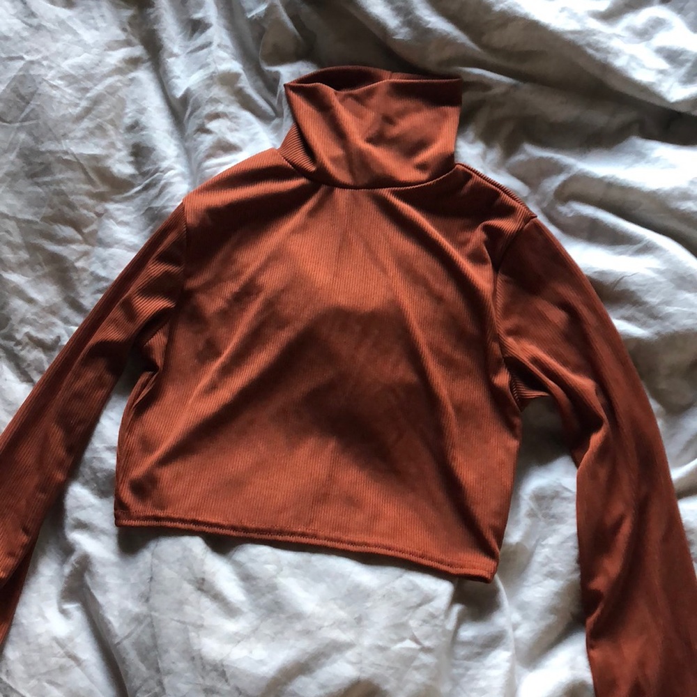 NastyGal burnt orange turtle neck crop top